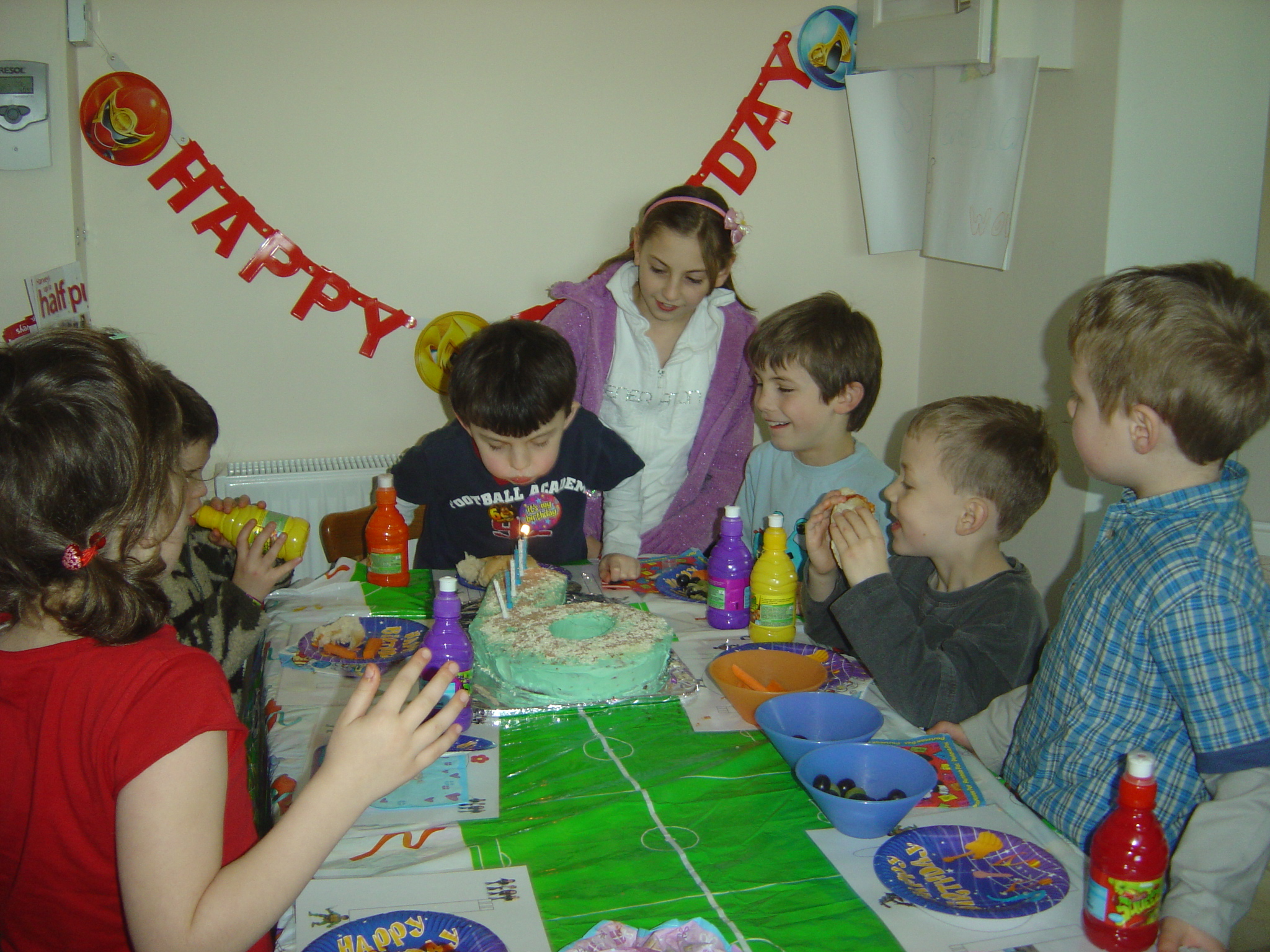 Party 2008