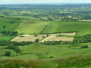 Funky field